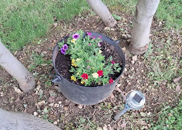 度假居 Au Doux Reve Corgnac-sur-l'Isle